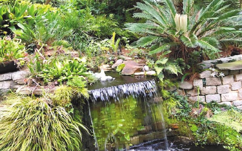 The restored Lake &amp;amp; Local garden. TOM MCCLENDON/Contributed