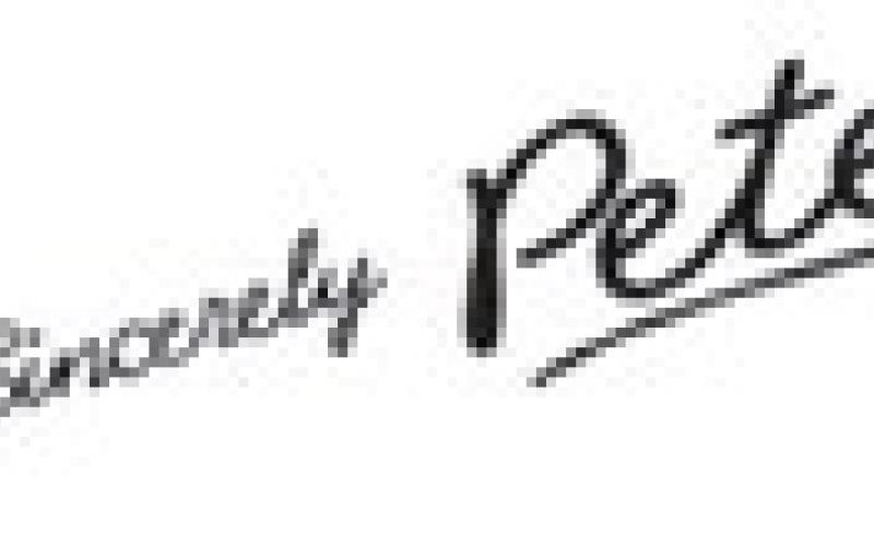 Alt Text for Image