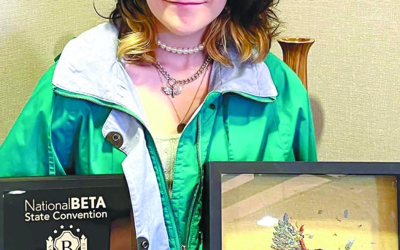 Arella Cash earned her third-consecutive state Beta Club win with an embroidered image of Icarus falling. CONTRIBUTED
