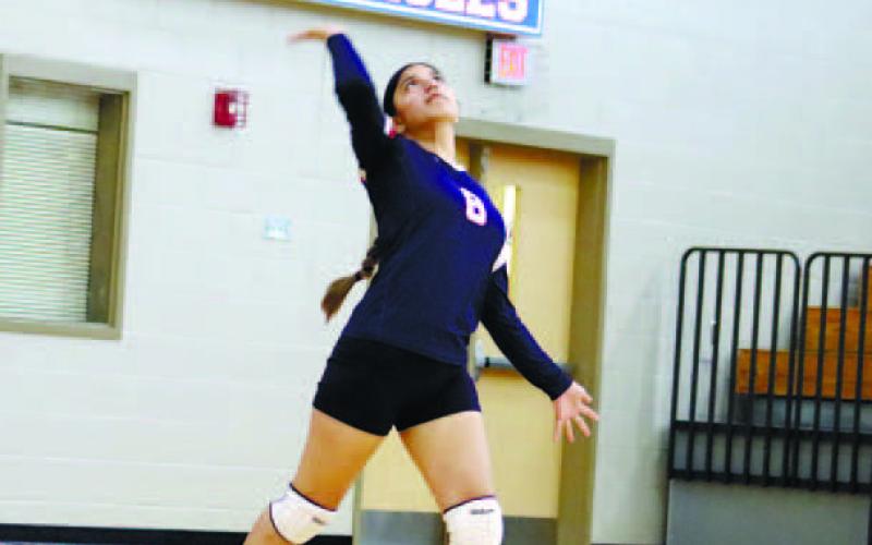 Alexandra Gonzalez (8) serves for a point.