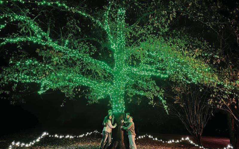 Bailey Ballard (left front), associate editor of The Baldwin Bulletin, is joined by Lonnie Howell, Kyle Churchwell, and Ansley Browne in activating the new “Hug a Tree” attraction at Lockerly in Lights. BAILEY BALLARD/Staff