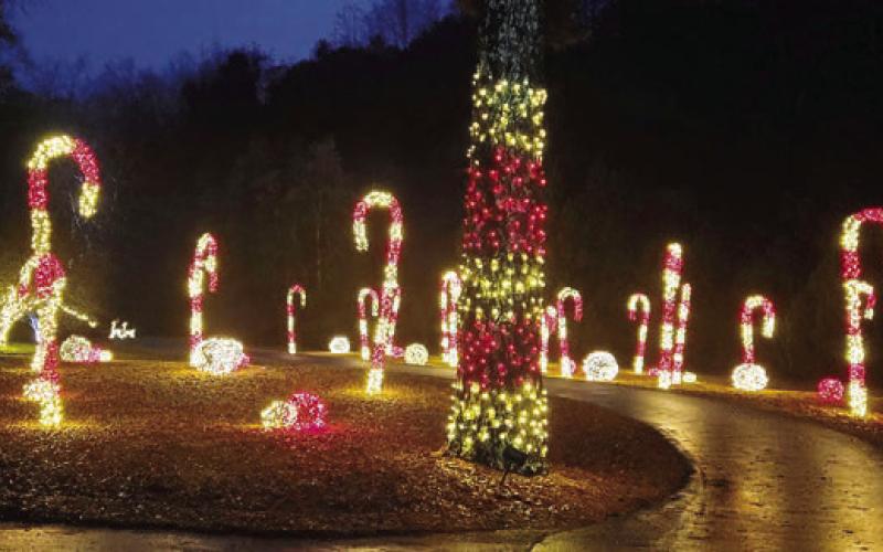 Families can be mesmerized by the candy cane forest. BAILEY BALLARD/Staff