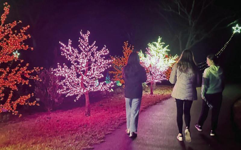 Three young women pass the cherry blossom display on the way out of the lights. BAILEY BALLARD/Staff