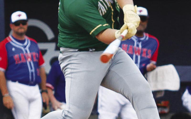 Gators win program’s fifth state championship