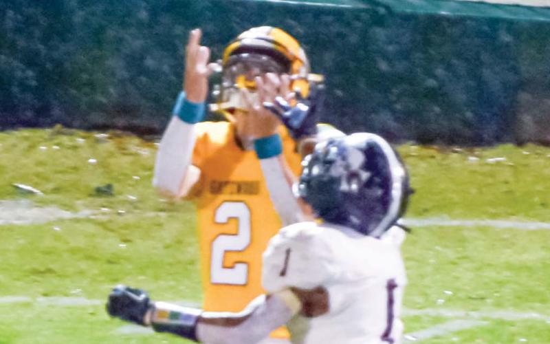 Junior receiver Ben Brannen caught a perfectly placed pass from Ames Johnson to easily pull away and score on this play. (IAN TOCHER/Staff)