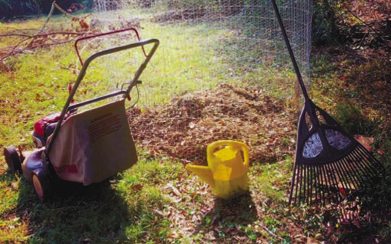 Ask the Eatonton Gardenerd