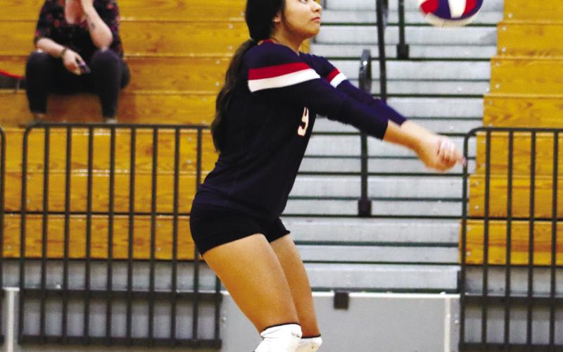 PCHS volleyball battles Baldwin and Davidson