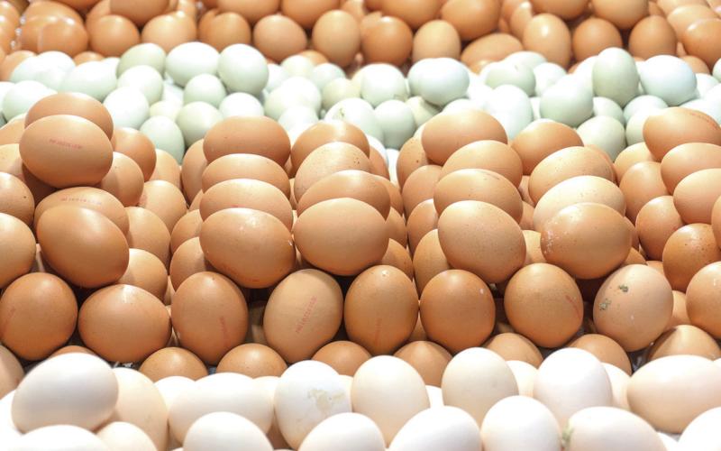Outbreaks of bird flu have contributed to the high price of eggs. STOCK PHOTO