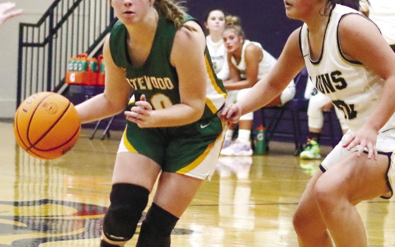 Lady Gators’ guard Eliana Tkacik (20) was one of their best ball-handlers. LANCE McCURLEY/Staff