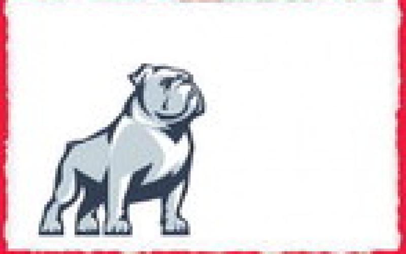 Alt Text for Image