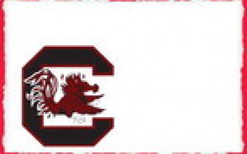 Alt Text for Image