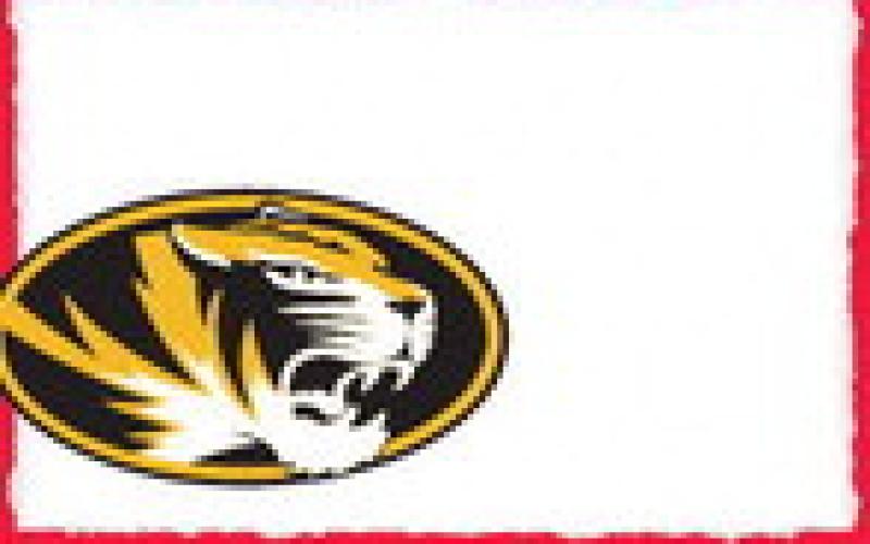Alt Text for Image