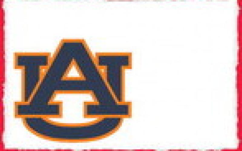 Alt Text for Image