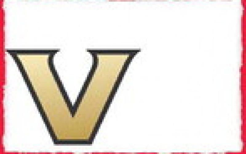 Alt Text for Image