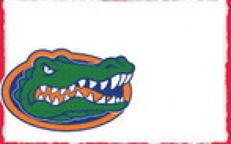 Alt Text for Image