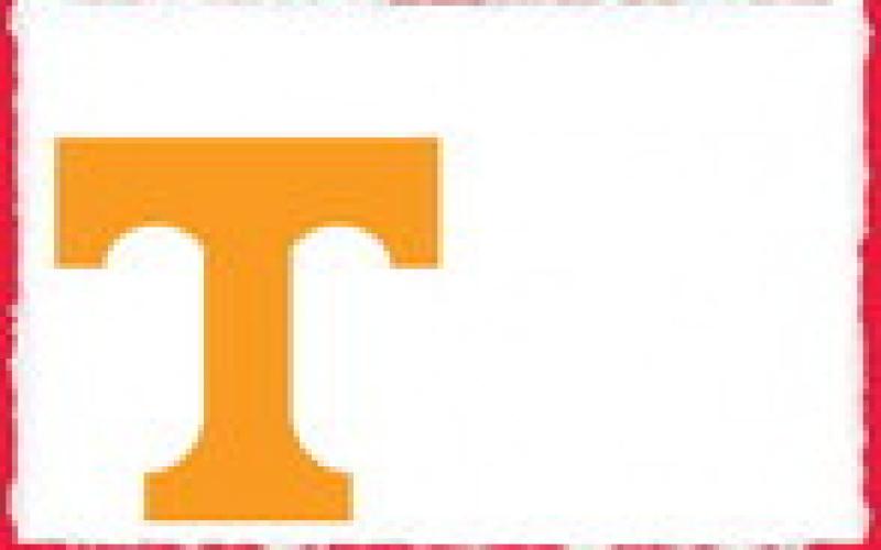 Alt Text for Image