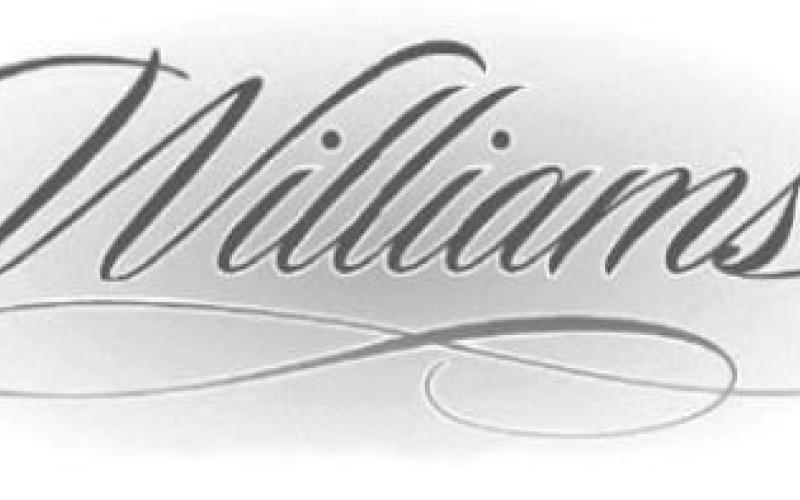 Alt Text for Image