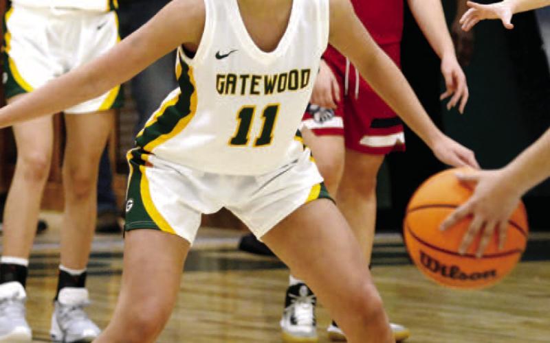 Junior point guard Carly Cannon provides a dependable, veteran presence to an overall young Gators team. IAN TOCHER/Staff