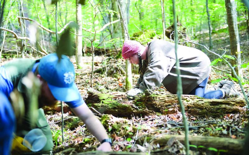 Elena Cruz (right) and another student rummage through piles of dead leaves in the woods at the Lake Laurel Biological Station in Milledgeville. CONTRIBUTED