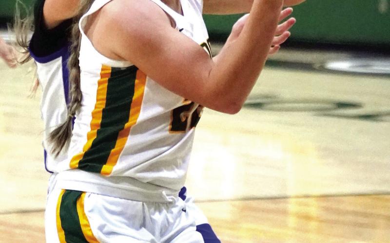 Senior Natalie Sills is one of the team’s best all-around players. DR. BOB BETZEL/Contributed