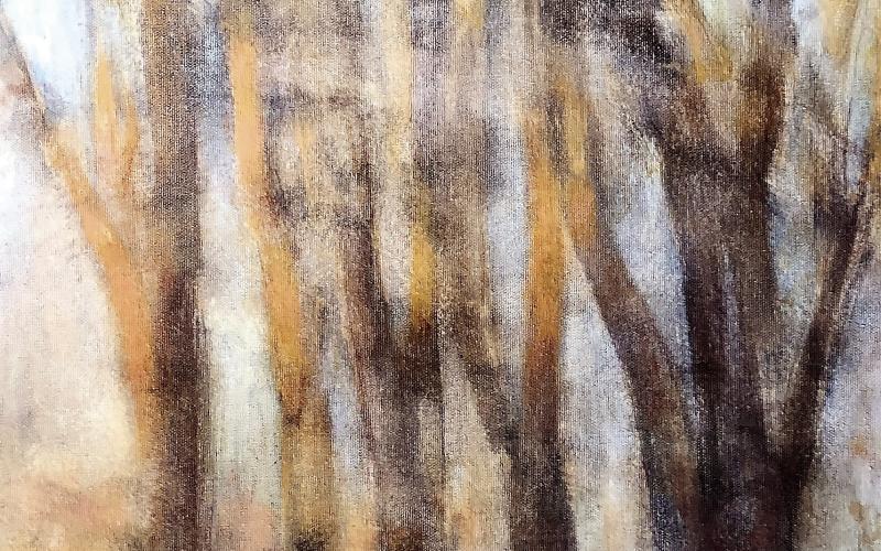 Late Afternoon Reflections by Dana Johns. CONTRIBUTED