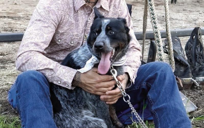 Michael Torres with his dog, Dallas. (LEIGH LOFGREN/Staff)