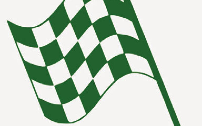 Alt Text for Image