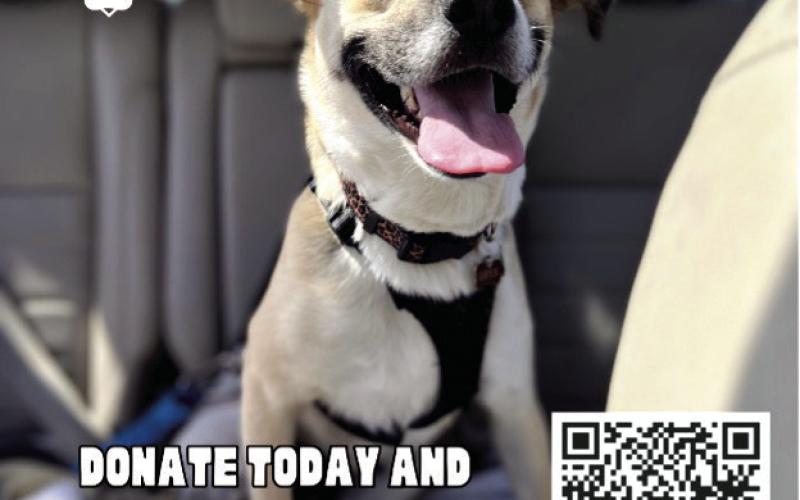 April is National Heartworm Awareness Month, and the Oconee Regional Humane Society (ORHS) is back with its Have a Heart campaign. (CONTRIBUTED)