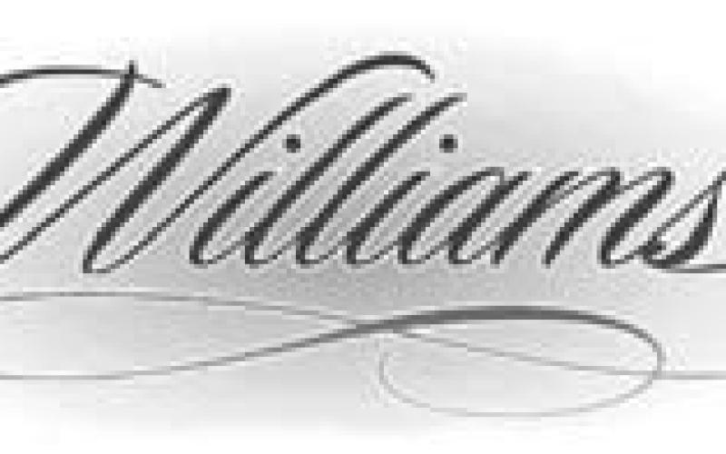 Alt Text for Image