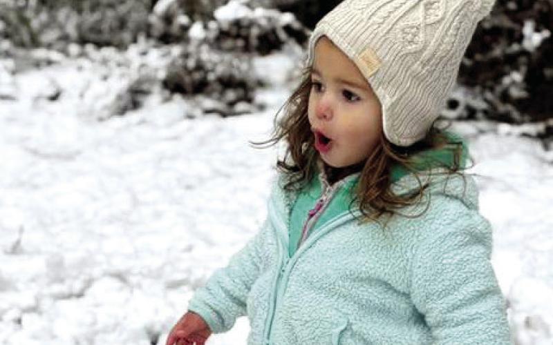 Snow wonder! Submitted by Stephanie Oakes