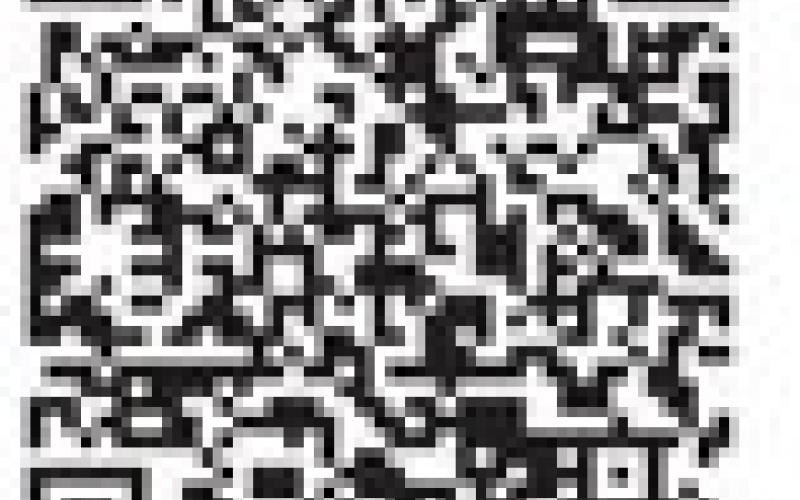 Scan the QR code to view highlights of the festival.