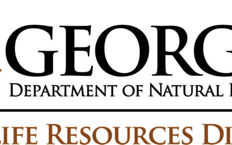 Georgia duck season opens Saturday