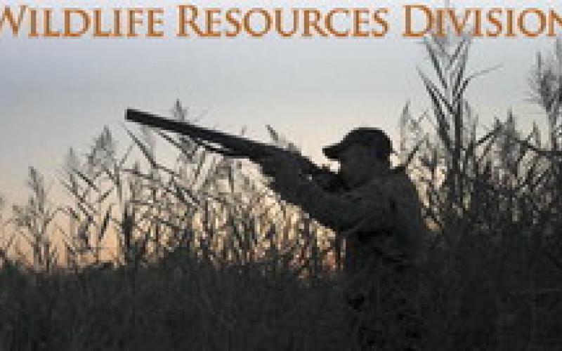 Georgia duck season opens Saturday
