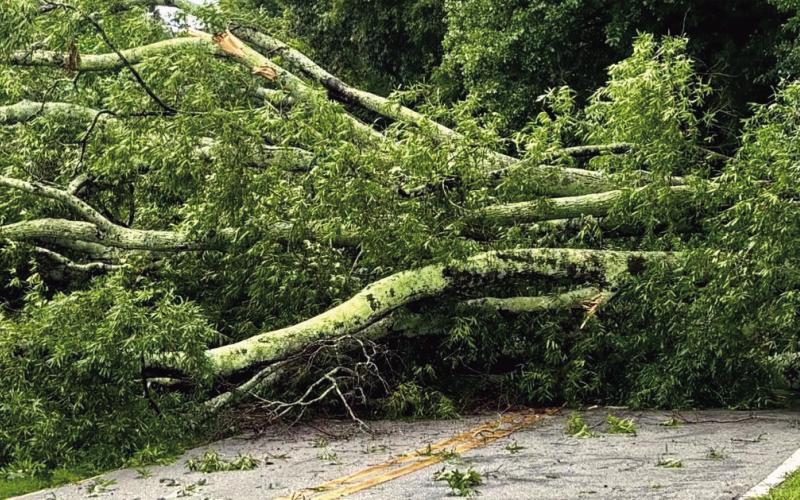 Putnam County Public Works crews clear trees from roadways after the storm. Tri-County EMC reported almost 5,000 meters were without power in Putnam and Jones counties. (Photo from Social Media)
