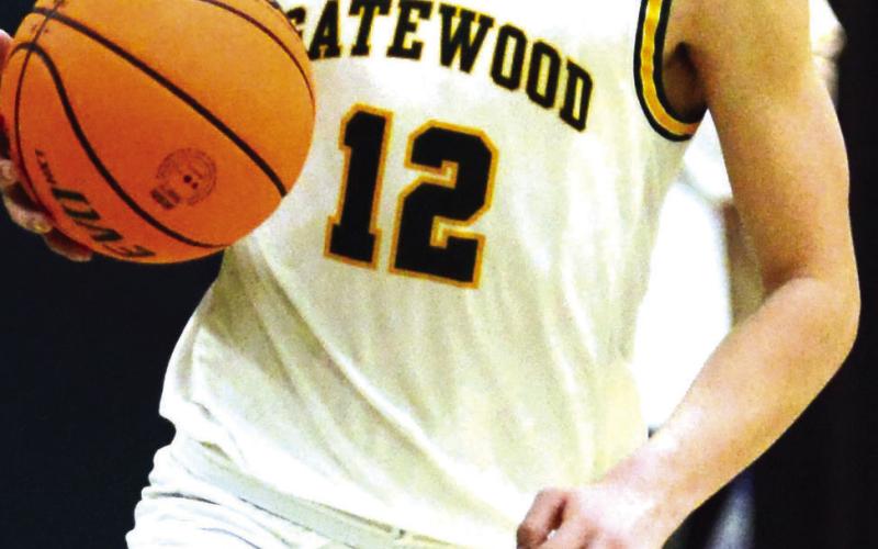 Matt Allen, the team's leading scorer, brings the ball up the floor in a game earlier this season. IAN TOCHER/Staff