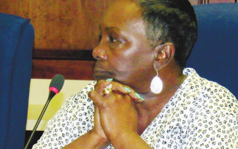 City Council member Janie Reid (Ward 3) opposed a change to the ordinance governing Bed and Breakfasts, calling it “feel-good legislation” and “discriminatory.” MARK ENGEL/Staff