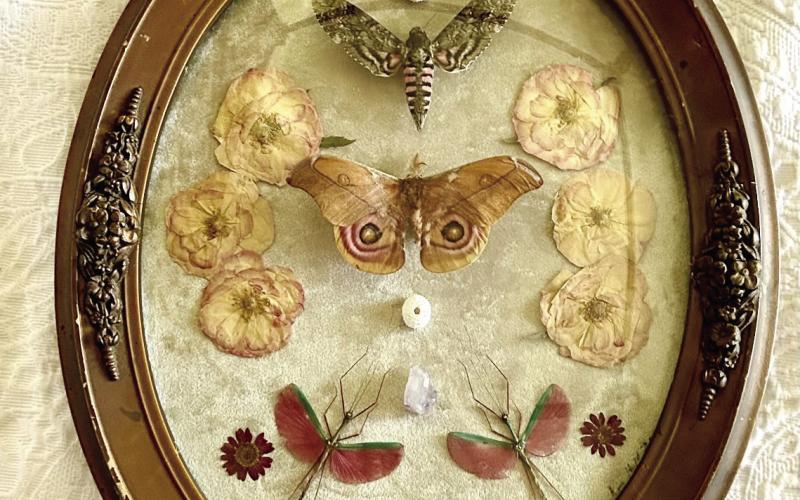 The exhibition will open with a catered reception and Artists Meet &amp; Greet from 6-8 p.m. on Friday, Sept. 6.