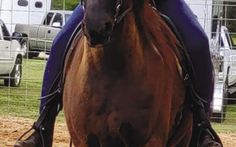 CONTRIBUTED Kel-Mac Saddle Club returns with annual horse shows.