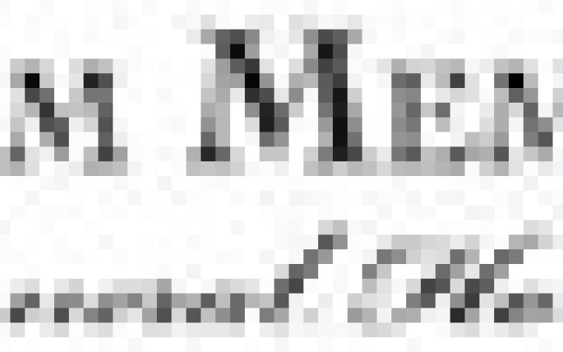 Alt Text for Image