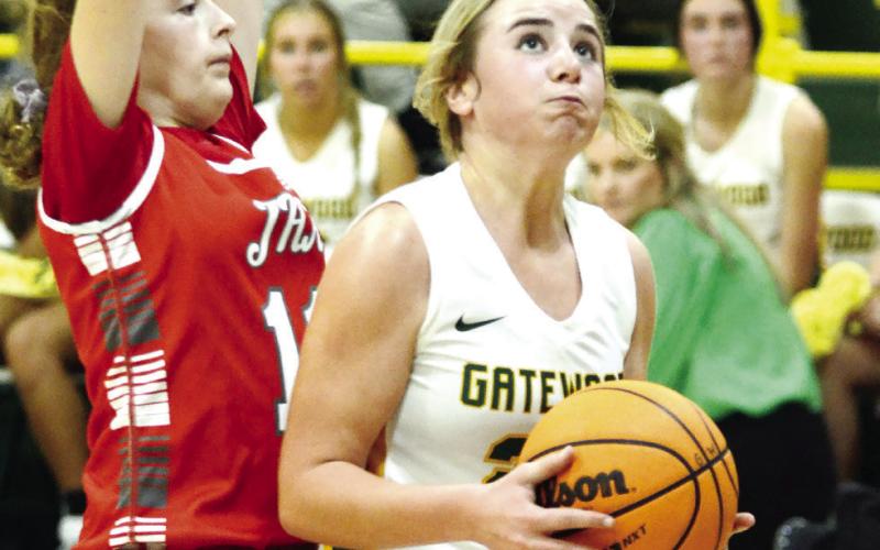 A Gatewood Lady Gator guard tries to go up for a layup.  IAN TOCHER/Staff