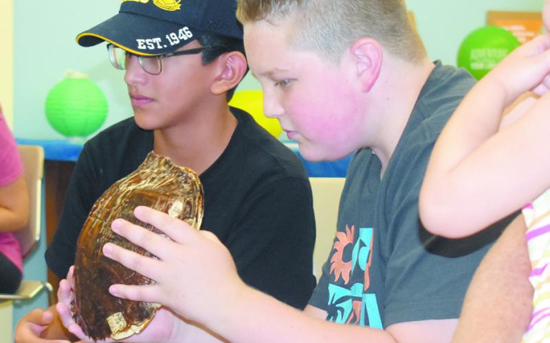 An attendee holds a box turtle at the event. (SHELBY HUCKABY/Staff)