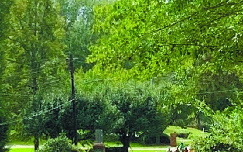 Last year’s 5K for Kaye Swamp Stomp attracted hundreds of walkers and runners to the streets of Eatonton. CONTRIBUTED