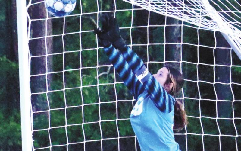 Tesa Shelton prevents a penalty kick. KIM CASH/Staff