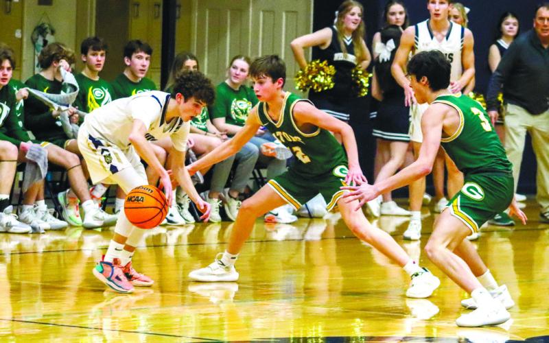 Freshman Matt Allen (12) has been a very strong addition to the Gators' varsity lineup this season.