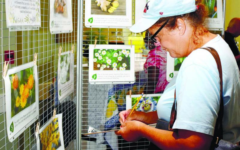 Sharon Buchanan is trying to name the plants in the form by looking at their photos and descriptions on the display.