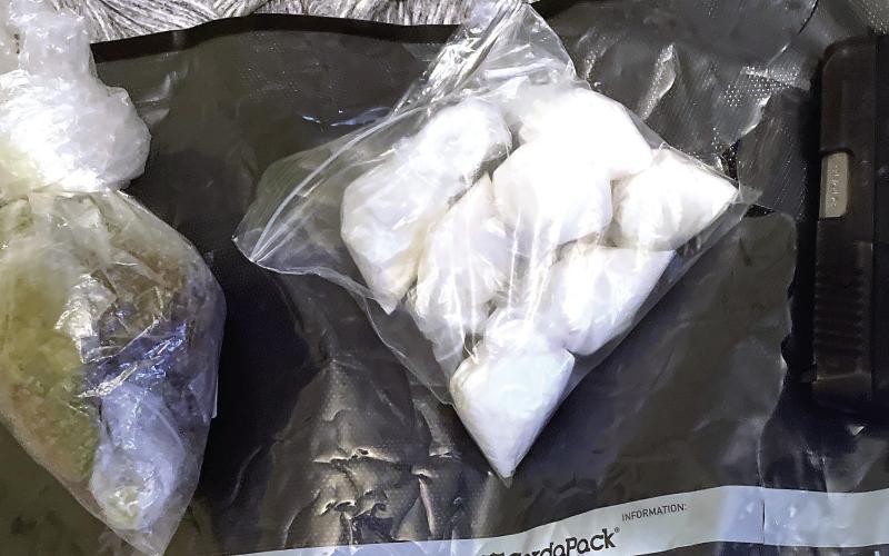 A half-pound each of marijuana and methamphetamine along with some scales were seized from a house on Sparta Highway, where almost a dozen chained dogs also were found. CONTRIBUTED/PCSO