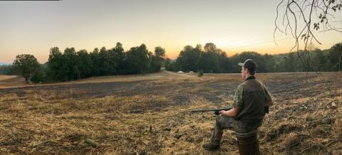 Official 2023-2024 dove season hunting dates are Sept. 2-Oct. 8, Nov. 18-26 and Dec. 19-Jan. 31. Statewide shooting hours for all dove seasons are one-half hour before sunrise to sunset. CONTRIBUTED