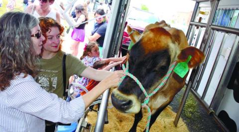 The Pilot Club of Eatonton has announced that plans and preparations are well underway for the Dairy Festival 2025, to be held on Saturday, June 7. CONTRIBUTED