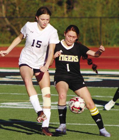 Gracie Bird (15) tries to the move the ball past a defender. ARELLA CASH/ Staff