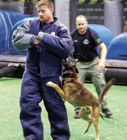 Cpl. Chris Donovan, in the background, watches closely and gives commands as K9 Nix attacks an evaluator in protective clothing during the annual South Georgia K9 Seminar last week.